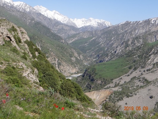 baibarak1